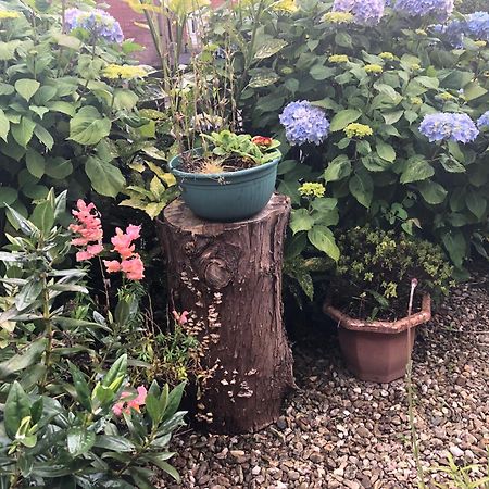 Ponderosea Cottage Free Gated Parking M1 & City Location, Wood Stove Lisburn Eksteriør billede