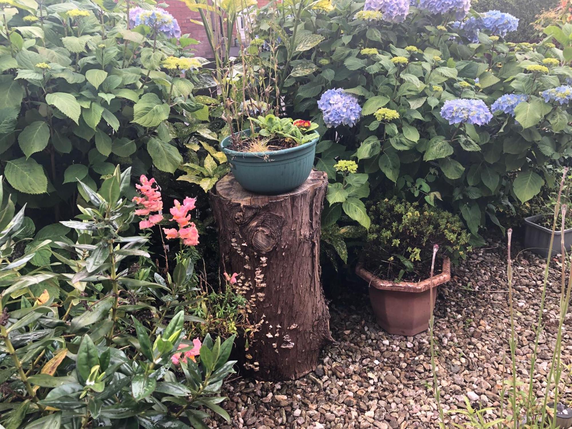 Ponderosea Cottage Free Gated Parking M1 & City Location, Wood Stove Lisburn Eksteriør billede
